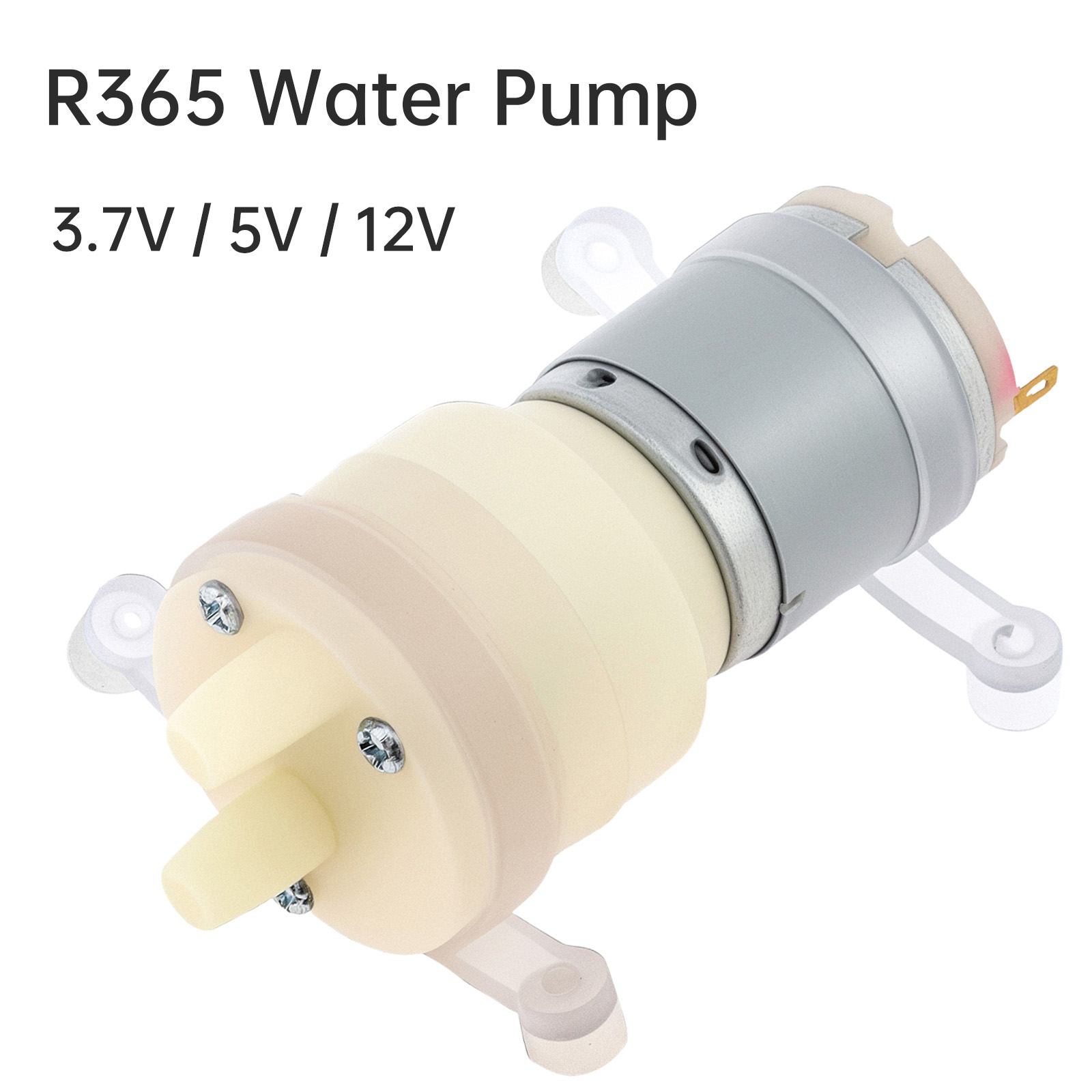 R365 Mikro Su Pompası Motoru D - Mini Peristaltic Pump 12V incelemesi ve fiyatı