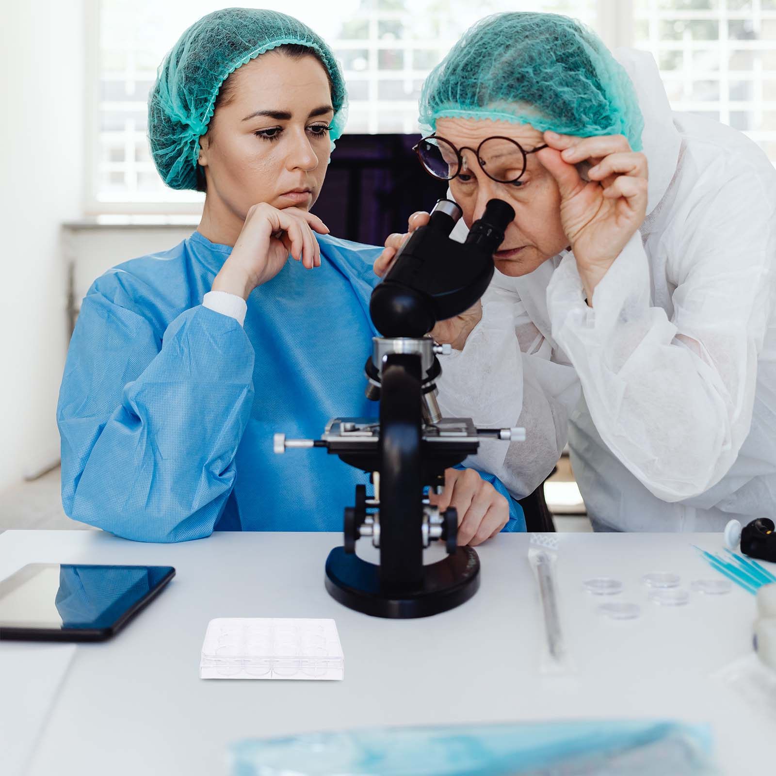 12 Yuvalı Hücre Kültürü Plakas - Lab Equipment incelemesi ve fiyatı
