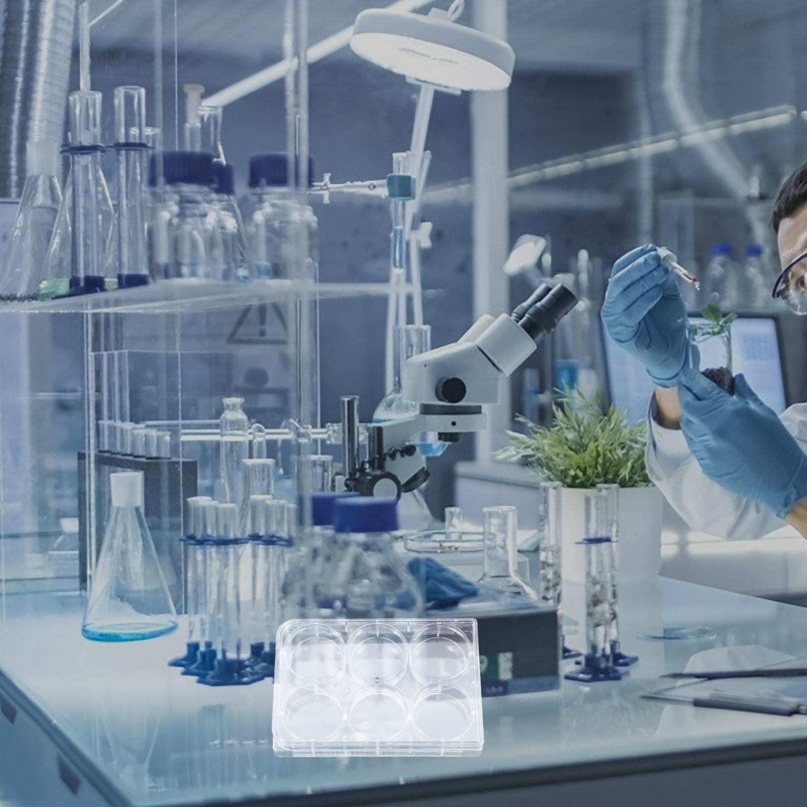 6 Yuvalı Doku Kültürü Plakası, - Lab Equipment incelemesi ve fiyatı