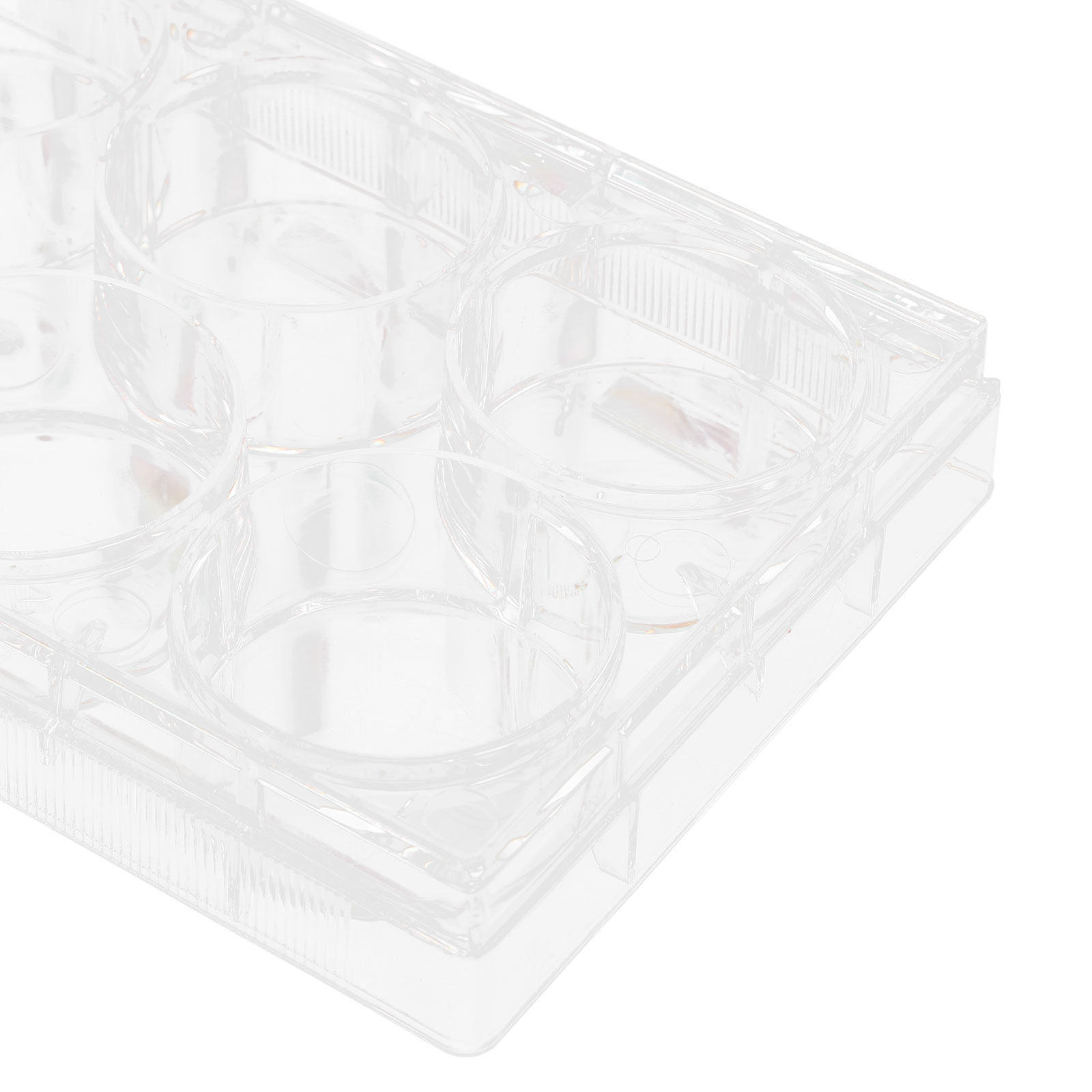 6 Yuvalı Doku Kültürü Plakası, - Lab Equipment incelemesi ve fiyatı